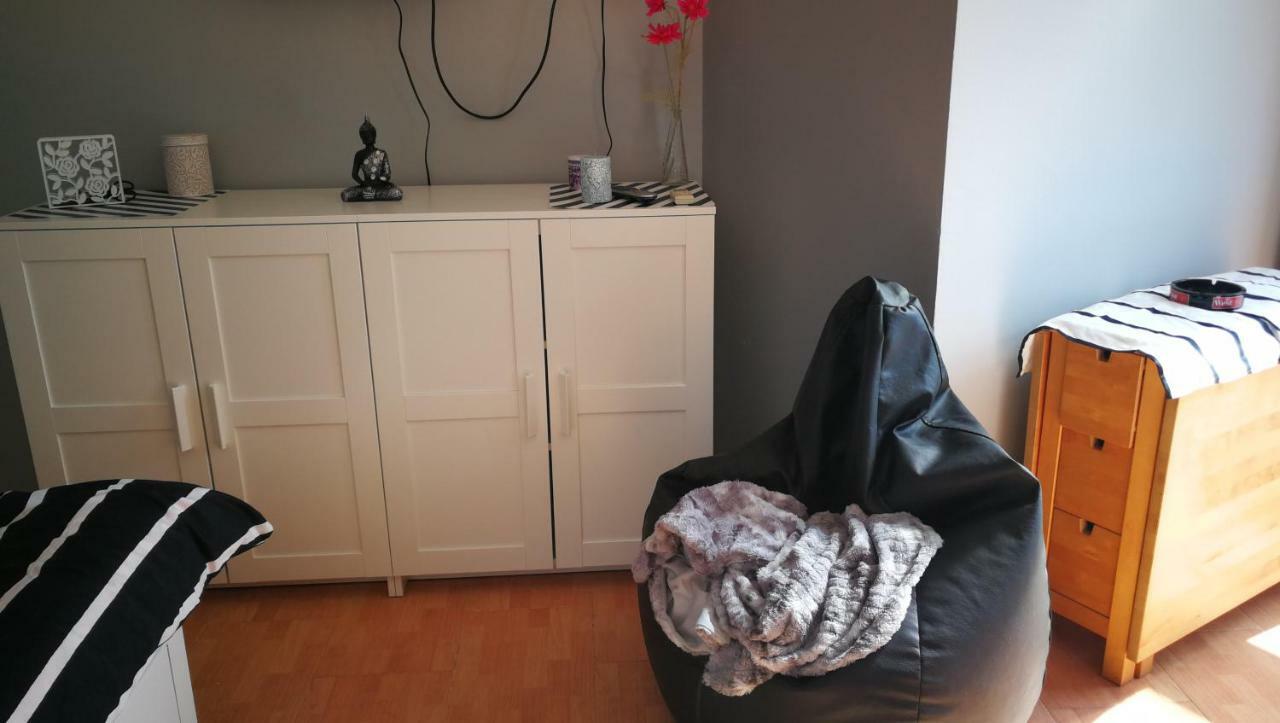 Estudio con cama extragrande