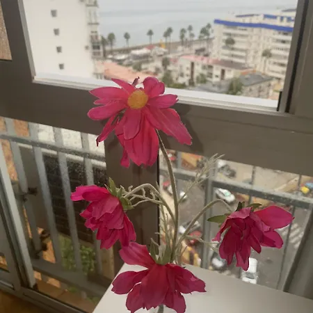 Benalmadena ,apartamento-Estudio primera Línea de Playa-2