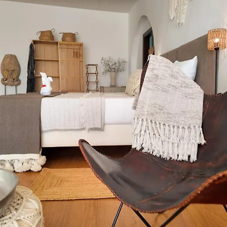 Finca La Vida Loca- For Adult Guests-3